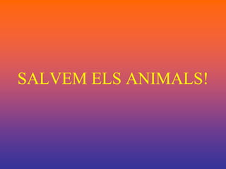 SALVEM ELS ANIMALS!
 