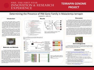 TERRAPIN GENOME
PROJECT
Introduction
The Terrapin Genome Project’s purpose is to sequence,
construct, and annotate the Malaclemys terrapin genome. PAX is a
homeobox gene family, implicated in embryonic development, and
expressed across animal species (“PAX Gene Family”, 2015). The PAX
gene family contains nine members, divided into four subgroups based
on functional similarities (“PAX”). PAX expression is involved in limb,
brain, and nervous system development, with PAX1 and PAX9 involved
in limb formation (LeClair, 1999). Organisms that express PAX genes do
not necessarily express all PAX subgroups, demonstrated in PAX
expression of Trachemys scripta and Chrysemys picta belili (Paixao-
Cortes, 2013).
An important phenomenon to examine is the differential
expression of PAX genes during embryonic limb formation. After the
terrapin’s PAX’s presence is annotated, RNA-seq can be performed with
RNA extracted during various stages of terrapin limb formation and
examined for expression of PAX members found during annotation.
Results would be compared with relatives to find similarities and
differences across species in limb development.
The PAX gene family is compelling to study because a greater
understanding could translate clinically by potentially reducing the
number of children born with congenital limb defects, such as limb
reductions which affect children’s future independence and development
(“Facts”, 2015).
Determining the Presence of PAX Gene Family in Malaclemys terrapin
Centers for Disease Control and Prevention. (2014, October 28). Facts about Upper and Lower Limb Reduction Defects.
Retrieved from http://www.cdc.gov/ncbddd/birthdefects/ul-limbreductiondefects .html.
Field, D. J., Gauthier, J. A., King, B. L., Pisani, D., Lyson, T. R. and Peterson, K. J. (2014), Toward consilience in reptile phylogeny:
miRNAs support an archosaur, not lepidosaur, affinity for turtles. Evolution & Development, 16: 189–196.
doi: 10.1111/ede.12081
Genetics Home Reference. (2015, October 5). PAX gene family. Retrieved from http://ghr.nlm.nih.gov/geneFamily/pax#members.
Human Genome Organization. Gene Family: Paired boxes (PAX). Retrieved from http://www.genenames.org/cgi-
bin/genefamilies/set/675.
LeClair, EE., Bonfiglio, L., Tuan, R.S. (1999). Expression of the pairedbox-genes Pax-1 and Pax-9 in limb skeleton development.
Development Dynamics, 214 (2), pp. 101-15.
Marchler-Bauer, A., Lu, S., Anderson J., Chitsaz, F., Derbyshire, M., DeWeese-Scott, C., Fong, J.H., Geer, L.Y., Geer, R.C.,
Gonzales, N.R., Gwadz, M., Hurwitz, D.I., Jackson, J.D., Ke, Z., Lanczycki, C.J., Zu, F., Marchler, G.H., Mullokandov, M.,
Omelchenko, M.V., Robertson, C.L., Song, J.S., Thanki, N., Yamashita, R.A., Zhang, D., Zhang, N., Zheng, C., Bryant, S.
(2011). CDD: a Conserved Domain Database for the functional annotation of proteins. Nucleic Acids Research, 3, pp. D225-
D229.
Paixao-Cortes, V. Saizano, F., Bortolini, M. (2013, September 2). Evolutionary History of
Chordate PAX Genes: Dynamics of Change in a Complex Gene Family. Retrieved from
http://journals.plos.org/plosone/article?id=10.1371/journal.pone.0073560.
The Reptile Database. (2015, November 23). Deirochelyinae. Retrieved from http://reptile-
database.reptarium.cz/search?search=%09Deirochelyinae&submit=Search.
Wang, Z., Gerstein, M., Snyder, M. (2009). RNA-Seq: a revolutionary tool for transcriptomics. Nature Reviews Genetics, 10 (1), pp. 57-
63.
Waterhouse, A.M., Procter, J.B., Martin, D.M.A, Clamp, M. and Barton, G. J. (2009)
"Jalview Version 2 - a multiple sequence alignment editor and analysis workbench"
Bioinformatics25 (9) 1189-1191 doi: 10.1093/bioinformatics/btp033
Materials and Methods
To find PAX protein sequences, the Conserved Domain Database
(CDD), a database to search proteins within conserved domains, was
utilized (Marchler-Bauer, 2011). The PAX family was examined in October
2015, and protein sequences were retrieved (Accession: cd00131, ID:
238076). A tblastn search, which converts protein sequences into
nucleotides and compares them with a genome was performed with a
FASTA format of the CDD protein sequences against the terrapin genome.
Another tblastn search was conducted on all protein sequences with E-
values less than 10-20 using reference RNA sequences against Homo
sapiens, Mus musculus, Gallus gallus, and turtles, with top hits recorded
for future analysis. Phylogenetic trees were constructed through Clustal
OMEGA to find distinctions between family members, and a multiple
sequence alignment was viewed in JalView to find conserved amino acids
across species (Waterhouse, 2009).
To study turtle limb formation in embryonic development, RNA
sequencing will be performed on embryos at various stages (Wang, 2009).
Differences in PAX expression among stages will be determined to find
PAX members involved in vertebral body formation and their expression
period. Western blots will also be conducted on a separate set of embryos
to confirm PAX expression.
Figure (I): A tree generated from Clustal OMEGA displaying potential PAX
family members present in the terrapin and relations to PAX members in other
species
(Terrapin sequences in red)
Results
Jaladanki S., Voltz A.K.
Literature Cited
Discussion
Results signify that terrapin genome annotation was fairly successful in identifying the PAX
family and several PAX members including PAX1, PAX3, PAX7, and PAX9, as seen in Figure I, with
terrapin sequences aligning with respective PAX members of other species. However, poor annotation
of other species should be considered when distinguishing among PAX members. Other members
could not be identified, with further sequence analysis required for confirming their presence or
absence. As predicted by the lineage in Figure II, terrapin sequences are clustering with their
respective members in bird and mammal species. For instance, the terrapin sequence predicted as
PAX3 (utg7180000004508) has its closest relative as PAX3 in the Mallard Duck (gi880796890), and a
mouse (gi12643442) is a close relative to another terrapin sequence (utg7180000010439) for PAX1.
Figure IV demonstrates that a paired box domain sequence in the terrapin aligns with the sequence in
other species, further confirming terrapin PAX presence.
The potential evidence of PAX1, PAX9, PAX3, and PAX7 in the terrapin is consistent with PAX
studies in other turtle species, as seen in Figure III. Pelodiscus sinensis, Trachemys scripta, and
Chrsemys picta belili all express PAX1, PAX7 and PAX9, which was replicated in the terrapin (Paixao-
Cortes, 2013). PAX3 was shown to be expressed in Chrsemys picta belili and Pelodiscus sinensis.
The terrapin’s potential presence of PAX3 is consistent with Chrsemys picta belili as both are
members of the subfamily Deirochelyinae (“Deirochelyinae”, 2015) (Paixao-Cortes, 2013). Trachemys
scripta is a unique Deirochelyniae member that has lost PAX3 (Paixao-Cortes, 2013). Results are
significant because the PAX subfamily involved in limb formation has been identified in the terrapin.
Outcomes provide a basis for expression studies which would focus on PAX1 and PAX9 expression in
terrapin embryonic limb formation, providing a pathway which could translate to improvement in
reducing human congenital limb defects.
Figure (III): A tree depicting PAX expression in turtle species and several other phylogenetically related species (Paixao-Cortes, 2013)
Figure (II): A partial phylogenetic tree diagram specifying
turtles’ in comparison to other families (Field, 2014)
(Malaclemys terrapin found in the red box)
Acknowledgments
I would like to thank the Terrapin genome Project faculty advisors Steven Mount, Michael Cummings,
Sridhar Hannenhalli, and Mihai Pop for their guidance. I would also like to thank Amy Voltz for her continued
mentorship of TGP students. Financial support for the TGP comes from the College of Computer,
Mathematical, and Natural Sciences and the FIRE Program.
Figure (IV): A multiple sequence alignment in
JalView illustrating the alignment of paired box
domain sequence between the terrapin and its
relatives
(Terrapin Sequences at bottom)
 