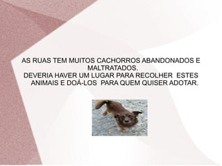 AS RUAS TEM MUITOS CACHORROS ABANDONADOS E
MALTRATADOS.
DEVERIA HAVER UM LUGAR PARA RECOLHER ESTES
ANIMAIS E DOÁ-LOS PARA QUEM QUISER ADOTAR.