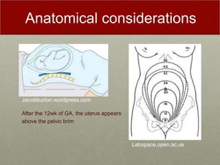Anatomical considerations
Labspace.open.ac.uk
Jacobburton.wordpress.com
After the 12wk of GA, the uterus appears
above the pelvic brim
 