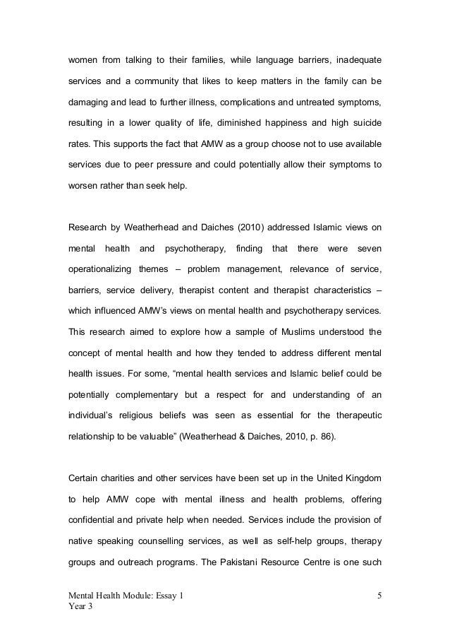 Essay on mental health services
