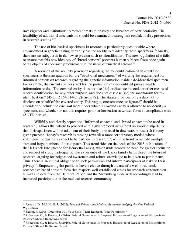 topic internet essays sentences