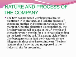 NATURE AND PROCESS OF
THE COMPANY
 The firm has promoted Cymbopogon citratus
plantation in 18 Hectares, and is in the process of
expanding another 45 Hectares in various areas of
Manipur. Once the plantation is accomplished, the
first harvesting shall be done in the 4th month and
thereafter every 3 months for 5 to 10 years depending
on the fertility of the soil. The average yield of fresh
Cymbopogon citratus leafs per Hectare is 48,000
kilograms in three time harvest in a year. The fresh
leafs are thus harvested and transported to the
industrial site for processing.
 