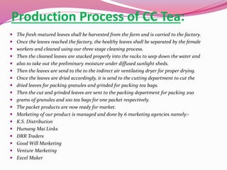 Production Process of CC Tea:
 The fresh matured leaves shall be harvested from the farm and is carried to the factory.
 Once the leaves reached the factory, the healthy leaves shall be separated by the female
 workers and cleaned using our three stage cleaning process.
 Then the cleaned leaves are stacked properly into the racks to seep down the water and
 also to take out the preliminary moisture under diffused sunlight sheds.
 Then the leaves are send to the to the indirect air ventilating dryer for proper drying.
 Once the leaves are dried accordingly, it is send to the cutting department to cut the
 dried leaves for packing granules and grinded for packing tea bags.
 Then the cut and grinded leaves are sent to the packing department for packing 200
 grams of granules and 100 tea bags for one packet respectively.
 The packet products are now ready for market.
 Marketing of our product is managed and done by 6 marketing agencies namely:-
 K.S. Distribution
 Humang Mai Links
 DRR Traders
 Good Will Marketing
 Venture Marketing
 Excel Maker
 