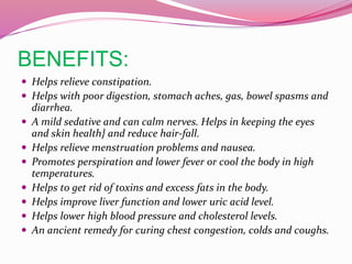 BENEFITS:
 Helps relieve constipation.
 Helps with poor digestion, stomach aches, gas, bowel spasms and
diarrhea.
 A mild sedative and can calm nerves. Helps in keeping the eyes
and skin health} and reduce hair-fall.
 Helps relieve menstruation problems and nausea.
 Promotes perspiration and lower fever or cool the body in high
temperatures.
 Helps to get rid of toxins and excess fats in the body.
 Helps improve liver function and lower uric acid level.
 Helps lower high blood pressure and cholesterol levels.
 An ancient remedy for curing chest congestion, colds and coughs.
 