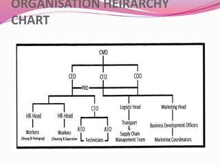 ORGANISATION HEIRARCHY
CHART
 