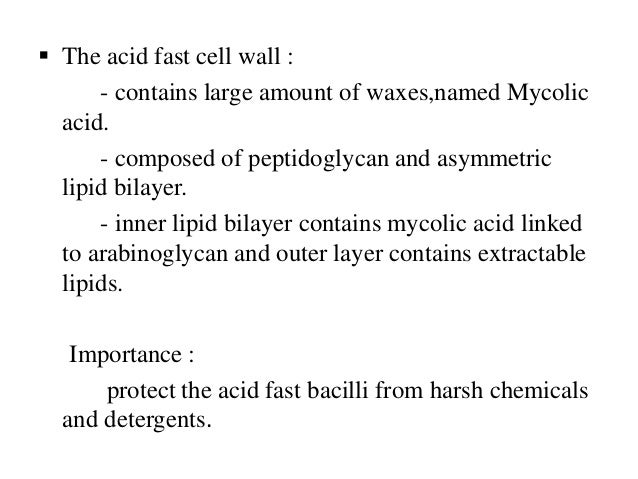 CLASSIFICATION OF BACTERIA & IT’S STRUCTURE