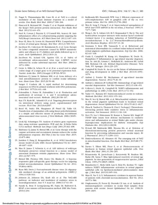 21. Nagai N, Thimmulappa RK, Cano M, et al. Nrf2 is a critical
modulator of the innate immune response in a model of
uveitis. Free Radic Biol Med. 2009;47:300–306.
22. Hancock R, Bertrand HC, Tsujita T, et al. Peptide inhibitors of
the Keap1–Nrf2 protein–protein interaction. Free Radic Biol
Med. 2012;52:444–451.
23. Steel R, Cowan J, Payerne E, O’Connell MA, Searcey M. Anti-
inﬂammatory effect of a cell-penetrating peptide targeting the
Nrf2/Keap1 interaction. ACS Med Chem Lett. 2012;3:407–410.
24. Boye SE, Boye SL, Lewin AS, Hauswirth WWA. Comprehensive
review of retinal gene therapy. Mol Ther. 2013;21:509–519.
25. Jacobson SG, Cideciyan AV, Ratnakaram R, et al. Gene therapy
for Leber congenital amaurosis caused by RPE65 mutations:
safety and efﬁcacy in 15 children and adults followed up to 3
years. Arch Ophthalmol. 2012;130:9–24.
26. Jacobson SG, Acland GM, Aguirre GD, et al. Safety of
recombinant adeno-associated virus type 2–RPE65 vector
delivered by ocular subretinal injection. Mol Ther. 2006;13:
1074–1084.
27. Grote A, Hiller K, Scheer M, et al. JCat: a novel tool to adapt
codon usage of a target gene to its potential expression host.
Nucleic Acids Res. 2005;33(suppl 2):W526–W531.
28. Ildefonso CJ, Jaime H, Rahman MM, et al. Gene delivery of a
viral anti-inﬂammatory protein to combat ocular inﬂamma-
tion. Hum Gene Ther. 2015;26:59–68.
29. Sanger F, Coulson AR. A rapid method for determining
sequences in DNA by primed synthesis with DNA polymerase.
J Mol Biol. 1975;94:441–448.
30. Zolotukhin S, Potter M, Zolotukhin I, et al. Production and
puriﬁcation of serotype 1, 2, and 5 recombinant adeno-
associated viral vectors. Methods. 2002;28:158–167.
31. Kay CN, Ryals RC, Aslanidi GV, et al. Targeting photoreceptors
via intravitreal delivery using novel, capsid-mutated AAV
vectors. PLoS One. 2013;8:e62097.
32. Reed SE, Staley EM, Mayginnes JP, Pintel DJ, Tullis GE.
Transfection of mammalian cells using linear polyethylenimine
is a simple and effective means of producing recombinant
adeno-associated virus vectors. J Virol Methods. 2006;138:85–
98.
33. Livak KJ, Schmittgen TD. Analysis of relative gene expression
data using real-time quantitative PCR and the 2(-Delta Delta
C(T)) method. Methods San Diego Calif. 2001;25:402–408.
34. Ildefonso CJ, Jaime H, Biswal MR, et al. Gene therapy with the
caspase activation and recruitment domain reduces the ocular
inﬂammatory response. Mol Ther J Am Soc Gene Ther. 2015;
23:875–884.
35. Justilien V, Pang J-J, Renganathan K, et al. SOD2 knockdown
mouse model of early AMD. Invest Ophthalmol Vis Sci. 2007;
48:4407–4420.
36. Mao H, James T, Schwein A, et al. AAV delivery of wild-type
rhodopsin preserves retinal function in a mouse model of
autosomal dominant retinitis pigmentosa. Hum Gene Ther.
2011;22:567–575.
37. Biswal MR, Prentice HM, Dorey CK, Blanks JC. A hypoxia-
responsive glial cell-speciﬁc gene therapy vector for targeting
retinal neovascularization. Invest Ophthalmol Vis Sci. 2014;
55:8044–8053.
38. Ryan MD, Drew J. Foot-and-mouth disease virus 2A oligopep-
tide mediated cleavage of an artiﬁcial polyprotein. EMBO J.
1994;13:928–933.
39. Johnson JA, Johnson DA, Kraft AD, et al. The Nrf2-ARE
pathway: an indicator and modulator of oxidative stress in
neurodegeneration. Ann N Y Acad Sci. 2008;1147:61–69.
40. Suzuki K, Bose P, Leong-Quong RY, Fujita DJ, Riabowol K.
REAP: a two minute cell fractionation method. BMC Res Notes.
2010;3:294.
41. Koilkonda RD, Hauswirth WW, Guy J. Efﬁcient expression of
self-complementary AAV in ganglion cells of the ex vivo
primate retina. Mol Vis. 2009;15:2796–2802.
42. Wen R, Song Y, Cheng T, et al. Injury-induced upregulation of
bFGF and CNTF mRNAS in the rat retina. J Neurosci. 1995;15:
7377–7385.
43. Wang L, He X, Szklarz GD, Bi Y, Rojanasakul Y, Ma Q. The aryl
hydrocarbon receptor interacts with nuclear factor erythroid
2-related factor 2 to mediate induction of NAD(P)H:quino-
neoxidoreductase 1 by 2,3,7,8-tetrachlorodibenzo-p-dioxin.
Arch Biochem Biophys. 2013;537:31–38.
44. Enzmann V, Row BW, Yamauchi Y, et al. Behavioral and
anatomical abnormalities in a sodium iodate-induced model of
retinal pigment epithelium degeneration. Exp Eye Res. 2006;
82:441–448.
45. Ozaki E, Campbell M, Kiang A-S, Humphries M, Doyle SL,
Humphries P. Inﬂammation in age-related macular degenera-
tion. In: Ash JD, Grimm C, Hollyﬁeld JG, Anderson RE, LaVail
MM, Rickman CB, eds. Retinal Degenerative Diseases. New
York, NY: Springer; 2014:229–235.
46. Campbell M, Doyle SL. An eye on the future of inﬂammasomes
and drug development in AMD. J Mol Med. 2013;91:1059–
1070.
47. Ambati J, Fowler BJ. Mechanisms of age-related macular
degeneration. Neuron. 2012;75:26–39.
48. Ambati J, Atkinson JP, Gelfand BD. Immunology of age-related
macular degeneration. Nat Rev Immunol. 2013;13:438–451.
49. Celkova L, Doyle SL, Campbell M. NLRP3 inﬂammasome and
pathobiology in AMD. J Clin Med. 2015;4:172–192.
50. Yadav UC, Ramana KV. Endotoxin-induced uveitis in rodents.
Methods Mol Biol. 2013;1031:155–162.
51. Mao H, Seo SJ, Biswal MR, et al. Mitochondrial oxidative stress
in the retinal pigment epithelium leads to localized retinal
degeneration. Invest Ophthalmol Vis Sci. 2014;55:4613–4627.
52. Zhou R, Tardivel A, Thorens B, Choi I, Tschopp J. Thioredoxin-
interacting protein links oxidative stress to inﬂammasome
activation. Nat Immunol. 2010;11:136–140.
53. Devi TS, Lee I, H¨uttemann M, Kumar A, Nantwi KD, Singh LP.
TXNIP links innate host defense mechanisms to oxidative
stress and inﬂammation in retinal Muller glia under chronic
hyperglycemia: implications for diabetic retinopathy. Exp
Diabetes Res. 2012;2012:438238.
54. El-Azab MF, Baldowski BRB, Mysona BA, et al. Deletion of
thioredoxin-interacting protein preserves retinal neuronal
function by preventing inﬂammation and vascular injury. Br
J Pharmacol. 2014;171:1299–1313.
55. Dinkova-Kostova AT, Abramov AY. The emerging role of Nrf2
in mitochondrial function. Free Radic Biol Med. 2015;88:179–
188.
56. Davies S, Elliott MH, Floor E, et al. Photocytotoxicity of
lipofuscin in human retinal pigment epithelial cells. Free
Radic Biol Med. 2001;31:256–265.
57. R´ozanowska M, Jarvis-Evans J, Korytowski W, Boulton ME,
Burke JM, Sarna T. Blue light-induced reactivity of retinal age
pigment. In vitro generation of oxygen-reactive species. J Biol
Chem. 1995;270:18825–18830.
58. Brandstetter C, Mohr LKM, Latz E, Holz FG, Krohne TU. Light
induces NLRP3 inﬂammasome activation in retinal pigment
epithelial cells via lipofuscin-mediated photooxidative dam-
age. J Mol Med. 2015;93:905–916.
59. Miao H, Tao Y, Li X. Inﬂammatory cytokines in aqueous humor
of patients with choroidal neovascularization. Mol Vis. 2012;
18:574–580.
60. Ongkosuwito JV, Feron EJ, Doornik CE van, et al. Analysis of
immunoregulatory cytokines in ocular ﬂuid samples from
patients with uveitis. Invest Ophthalmol Vis Sci. 1998;39:
2659–2665.
Ocular Gene Delivery of an Nrf2-Derived Peptide IOVS j February 2016 j Vol. 57 j No. 2 j 385
Downloaded From: http://iovs.arvojournals.org/pdfaccess.ashx?url=/data/Journals/IOVS/934916/ on 07/01/2016
 