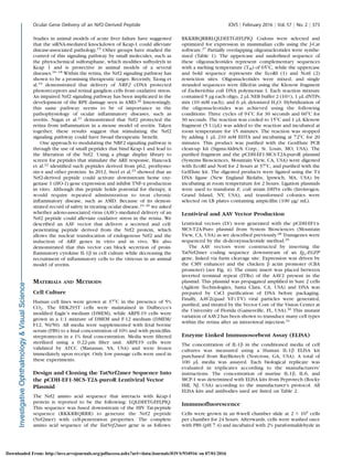 Studies in animal models of acute liver failure have suggested
that the siRNA-mediated knockdown of Keap-1 could alleviate
disease-associated pathology.15
Other groups have studied the
control of this signaling pathway by small molecules, such as
the phytochemical sulforaphane, which modiﬁes sufhydryls in
Keap 1 and is protective in animal models of a several
diseases.16–18
Within the retina, the Nrf2 signaling pathway has
shown to be a promising therapeutic target. Recently, Xiong et
al.19 demonstrated that delivery of NRF2 cDNA protected
photoreceptors and retinal ganglion cells from oxidative stress.
An impaired Nrf2 signaling pathway has been implicated in the
development of the RPE damage seen in AMD.20
Interestingly,
this same pathway seems to be of importance in the
pathophysiology of ocular inﬂammatory diseases, such as
uveitis. Nagai et al.21
demonstrated that Nrf2 protected the
retina from inﬂammation in a mouse model of uveitis. Taken
together, these results suggest that stimulating the Nrf2
signaling pathway could have broad therapeutic beneﬁt.
One approach to modulating the NRF2 signaling pathway is
through the use of small peptides that bind Keap-1 and lead to
the liberation of the Nrf2. Using a phage display library to
screen for peptides that stimulate the ARE response, Hancock
et al.22 identiﬁed such peptides derived from p62, prothymo-
sin-a and other proteins. In 2012, Steel et al.23
showed that an
Nrf2-derived peptide could activate downstream heme oxy-
genase 1 (HO-1) gene expression and inhibit TNF-a production
in vitro. Although this peptide holds potential for therapy, it
would require repeated administration to treat chronic
inﬂammatory disease, such as AMD. Because of its demon-
strated record of safety in treating ocular disease,24–26
we asked
whether adeno-associated virus (AAV)–mediated delivery of an
Nrf2 peptide could alleviate oxidative stress in the retina. We
described an AAV vector that delivers a secreted and cell-
penetrating peptide derived from the Nrf2 protein, which
allows the nuclear translocation of endogenous Nrf2 and the
induction of ARE genes in vitro and in vivo. We also
demonstrated that this vector can block secretion of proin-
ﬂammatory cytokine IL-1b in cell culture while decreasing the
recruitment of inﬂammatory cells to the vitreous in an animal
model of uveitis.
MATERIALS AND METHODS
Cell Culture
Human cell lines were grown at 378C in the presence of 5%
CO2. The HEK293T cells were maintained in Dulbecco’s
modiﬁed Eagle’s medium (DMEM), while ARPE-19 cells were
grown in a 1:1 mixture of DMEM and F-12 medium (DMEM/
F12, 50/50). All media were supplemented with fetal bovine
serum (FBS) to a ﬁnal concentration of 10% and with penicillin-
streptomycin in a 1% ﬁnal concentration. Media were ﬁltered
sterilized using a 0.22-lm ﬁlter unit. ARPE19 cells were
validated by ATCC (Manassas, VA, USA) and were frozen
immediately upon receipt. Only low passage cells were used in
these experiments.
Design and Cloning the TatNrf2mer Sequence Into
the pCDH-EF1-MCS-T2A-puroR Lentiviral Vector
Plasmid
The Nrf2 amino acid sequence that interacts with Keap-1
protein is reported to be the following: LQLDEETGEFLPIQ.
This sequence was fused downstream of the HIV Tat-peptide
sequence (RKKRRQRRR) to generate the Nrf2 peptide
(Nrf2mer) with cell-penetration properties. The complete
amino acid sequence of the TatNrf2mer gene is as follows:
RKKRRQRRRLQLDEETGEFLPIQ. Codons were selected and
optimized for expression in mammalian cells using the J-Cat
software.27
Partially overlapping oligonucleotides were synthe-
sized (Table 1). The uppercase and underlined sequence of
these oligonucleotides represent complementary sequences
with a melting temperature (TM) of 658C, while the uppercase
and bold sequence represents the EcoRI (1) and NotI (2)
restriction sites. Oligonucleotides were mixed, and single
stranded sequences were ﬁlled-in using the Klenow fragment
of Escherichia coli DNA polymerase I. Each reaction mixture
contained 5 lg each oligo, 2 lL NEB buffer 2 (103), 1 lL dNTPs
mix (10 mM each), and 6 lL deionized H2O. Hybridization of
the oligonucleotides was achieved using the following
conditions: Three cycles of 948C for 30 seconds and 608C for
30 seconds. The reaction was cooled to 158C and 1 lL Klenow
fragment (5 U/lL) was added to the reaction and incubated at
room temperature for 15 minutes. The reaction was stopped
by adding 1 lL 210 mM EDTA and incubating at 728C for 20
minutes. This product was puriﬁed with the GenElute PCR
clean-up kit (Sigma-Aldrich Corp., St. Louis, MO, USA). The
puriﬁed fragment and the pCDH-EF1-MCS-T2A-puroR plasmid
(Systems Biosciences, Mountain View, CA, USA) were digested
with EcoRI and NotI for 2 hours at 378C, and puriﬁed with the
GelElute kit. The digested products were ligated using the T4
DNA ligase (New England Biolabs, Ipswich, MA, USA) by
incubating at room temperature for 2 hours. Ligation plasmids
were used to transform E. coli strain DH5a cells (Invitrogen,
Grand Island, NY, USA), and transformed colonies were
selected on LB plates containing ampicillin (100 lg/ mL).
Lentiviral and AAV Vector Production
Lentiviral vectors (LV) were generated with the pCDH-EF1a-
MCS-T2A-Puro plasmid from System Biosciences (Mountain
View, CA, USA) as we described previously.28
Transgenes were
sequenced by the di-deoxynucleotide method.29
The AAV vectors were constructed by inserting the
TatNrf2mer coding sequence downstream of an Igj-EGFP
gene, linked via furin cleavage site. Expression was driven by
the CMV enhancer and the chicken b actin promoter (CBA
promoter) (see Fig. 4). The entire insert was placed between
inverted terminal repeat (ITRs) of the AAV2 present in the
plasmid. This plasmid was propagated ampliﬁed in Sure 2 cells
(Agilent Technologies, Santa Clara, CA, USA) and DNA was
prepared by CsCl puriﬁcation of DNA before packaging.
Finally, AAV2(quad Y-FþT-V) viral particles were generated,
puriﬁed, and titrated by the Vector Core of the Vision Center at
the University of Florida (Gainesville, FL, USA).30 This mutant
variation of AAV2 has been shown to transduce many cell types
within the retina after an intravitreal injection.31
Enzyme Linked Immunosorbent Assay (ELISA)
The concentration of IL-1b in the conditioned media of cell
cultures was measured using a Human IL-1b ELISA kit
purchased from RayBiotech (Norcross, GA, USA). A total of
100 lL media was assayed. Each biological replicate was
evaluated in triplicates according to the manufacturers’
instructions. The concentration of murine IL-1b, IL-6, and
MCP-1 was determined with ELISA kits from Peprotech (Rocky
Hill, NJ, USA) according to the manufacturer’s protocol. All
ELISA kits and antibodies used are listed on Table 2.
Immunoﬂuorescence
Cells were grown in an 8-well chamber slide at 2 3 105
cells
per chamber for 24 hours. Afterwards, cells were washed once
with PBS (pH 7.4) and incubated with 2% paraformaldehyde in
Ocular Gene Delivery of an Nrf2-Derived Peptide IOVS j February 2016 j Vol. 57 j No. 2 j 373
Downloaded From: http://iovs.arvojournals.org/pdfaccess.ashx?url=/data/Journals/IOVS/934916/ on 07/01/2016
 