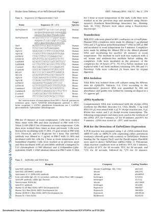 PBS for 15 minutes at room temperature. Cells were washed
three times with PBS and then incubated in PBS with 0.1%
Triton X-100 (PBS-T) for 10 minutes at room temperature. Cells
then were washed three times as done previously. Cells were
blocked by incubating with 1% BSA, 1% goat serum in PBS with
0.1% Tween-20, and 0.3 M glycine for 1 hour. The anti-Nrf2
antibody was diluted to 1 lg/mL in PBS-T with 1% BSA and
incubated with the cells for 1 hour at room temperature in a
humidiﬁed chamber. Cells were washed as in previous steps
and then incubated with an anti-rabbit antibody conjugated to
Cy3 chromophore (1:500 dilution) and 40
,6-diamidino-2-phe-
nylendole (DAPI; 1:1000 dilution) diluted in PBS-T with 1% BSA
for 1 hour at room temperature in the dark. Cells then were
washed as in the previous step and mounted using Fluoro-
mount-G (Southern Biotechnology Associates, Inc., Birming-
ham, AL, USA). Pictures were taken using a ﬂuorescence
microscope.
Transfection
HEK293T cells were plated at 80% conﬂuency in a 6-well plate.
Plasmid DNA complexes were made by diluting 1 lg plasmid
DNA and 2.5 lg linear polyethyleneimine32
(PEI) in 100 lL PBS
and incubated at room temperature for 5 minutes. Complexes
were made by adding the diluted PEI to the diluted plasmid
DNA and incubating for another 20 minutes at room
temperature. The medium in each well was replaced with 2
mL serum and antibiotic-free medium before adding the
complexes. Cells were incubated in the presence of the
complexes for 18 hours (378C, 5% CO2) before medium was
replaced with 3 mL fresh medium containing 10% FBS and 1%
Pen-Strep. Cells were collected 24 hours later by trypsin
digestion.
RNA Isolation
Total RNA was isolated from cell cultures using the RNeasy
mini kit (QIAGEN, Valencia, CA, USA) according to the
manufacturers’ protocol. RNA was quantiﬁed by 260 nm
absorbance and quality was veriﬁed by running an aliquot in a
1% agarose gel.
cDNA Synthesis
Complementary DNA was synthesized with the iScript cDNA
synthesis kit (Bio-Rad, Hercules CA, USA). Brieﬂy, 1 ng total
RNA (10 lL) was mixed with 4 lL 53 iScript reaction mix, 5 lL
RNAse free water, and 1 lL iScript reverse transcriptase. The
following temperatures and times were used in the synthesis of
the cDNA: 258C for 5 minutes, 428 for 30 minutes, and 858C for
5 minutes. cDNA was stored at À208C until needed.
PCR for the Detection of TatNrf2mer Expression
A PCR reaction was prepared using 1 lL cDNA isolated from
ARPE-19 cells or ARPE-19 cells expressing either puromycin
resistance (PuroR) gene only (control) or TatNrf2mer. Primers
binding the Tat region (Tat-F) and the PuroR region (PuroR-R)
were used to detect TatNrf2mer mRNA (Table 1). Polymerase
chain reaction conditions were as follows: 938C for 3 minutes,
30 cycles of 938C for 30 seconds, 558C for 30 seconds, and
728C for 20 seconds, followed by 728C for 10 minutes.
TABLE 1. Sequences of Oligonucleotides Used
Name Sequence (50
->30
)
Target
Species
TatNrf2mer-F tatGAATTCgccaccatgagg
aagaagaggaggcagagGAG
GAGGCTGCAGCTGGACGAG
Human
TatNrf2mer-R ataGCGGCCGCctggatgggc
aggaactcgccggtctcCTC
GTCCAGCTGCAGCCTCCTC
Human
Tat-F AGTTCTTGCAGCTCGGTG Human
Puro-R TCGCCACCATGAGGAAG Human
NqO1-F AAAGGACCCTTCCGGAGTAA Human
NqO1-R CCATCCTTCCAGGATTTGAA Human
GSTM1-F CTACCTTGCCCGAAAGCAC Human
GSTM1-R ATGTCTGCACGGATCCTCTC Human
GAPDH-F ACAGTCCATGCCATCACTGCC Human
GAPDH-R GCCTGCTTCACCACCTTCTTG Human
b actin-F AGCGAGCATCCCCCAAAGTT Human
b actin-R GGGCACGAAGGCTCATCATT Human
HO-1-F AGCCCCACCAAGTTCAAACA Mouse
HO-1-R GCAGTATCTTGCACCAGGCT Mouse
NqO1-F CGACAACGGTCCTTTCCAGA Mouse
NqO1-R CCAGACGGTTTCCAGACGTT Mouse
GSTM1-F GGGATACTGGAACGTCCGC Mouse
GSTM1-R GCTCTGGGTGATCTTGTGTGA Mouse
Catalase-F CGCAATCCTACACCATGTCG Mouse
Catalase-R AGTATCCAAAAGCACCTGCTCC Mouse
b actin-F CGAGCACAGCTTCTTTGCA Mouse
b actin-R TTCCCACCATCACACCCTGG Mouse
Tat, trans-activator of transcription from HIV-1; Puro-R, puromycin
resistance gene; NqO1, NAD(P)H dehydrogenase quinone 1; HO-1,
heme oxygenase 1; GSTM1, glutathione S-transferase mu 1; GAPDH,
glyceraldehyde 3-phosphate dehydrogenase.
TABLE 2. Antibodies and ELISA Kits
Reagent Company Catalog Number
Anti-Nrf2 antibody Abcam (Cambridge, MA, USA) ab31163
Anti-Nrf2 [EP1808Y] antibody Abcam ab62352
Anti-Lamin AþC [EPR4100] antibody Abcam ab108595
Goat anti-rabbit IgG (HþL) secondary antibody, Alexa Fluor 488 conjugate Invitrogen A-11034
Anti-GFP antibody, rabbit IgG fraction Invitrogen A11122
Nitrotyrosine ELISA Kit Abcam ab113848
Anti-ZO-1 antibody Invitrogen 40-2200
Murine IL-1B Mini ELISA ABTS Development kit Peprotech 900-M47
Murine IL-6 Mini ELISA ABTS Development kit Peprotech 900-M50
Murine JE/MCP-1 Mini ELISA ABTS Development kit Peprotech 900-M126
Human IL-1 beta ELISA RayBiotech ELH-IL1b
Ocular Gene Delivery of an Nrf2-Derived Peptide IOVS j February 2016 j Vol. 57 j No. 2 j 374
Downloaded From: http://iovs.arvojournals.org/pdfaccess.ashx?url=/data/Journals/IOVS/934916/ on 07/01/2016
 