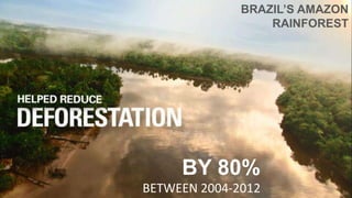 BRAZIL’S AMAZON
RAINFOREST
BY 80%
BETWEEN 2004-2012
 