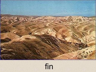 fin
 