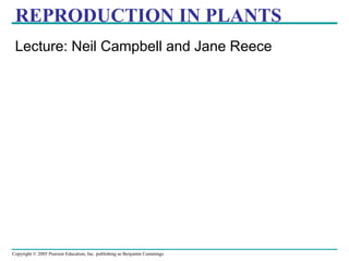 REPRODUCTION IN PLANTS 
Lecture: Neil Campbell and Jane Reece 
Copyright © 2005 Pearson Education, Inc. publishing as Benjamin Cummings 
 