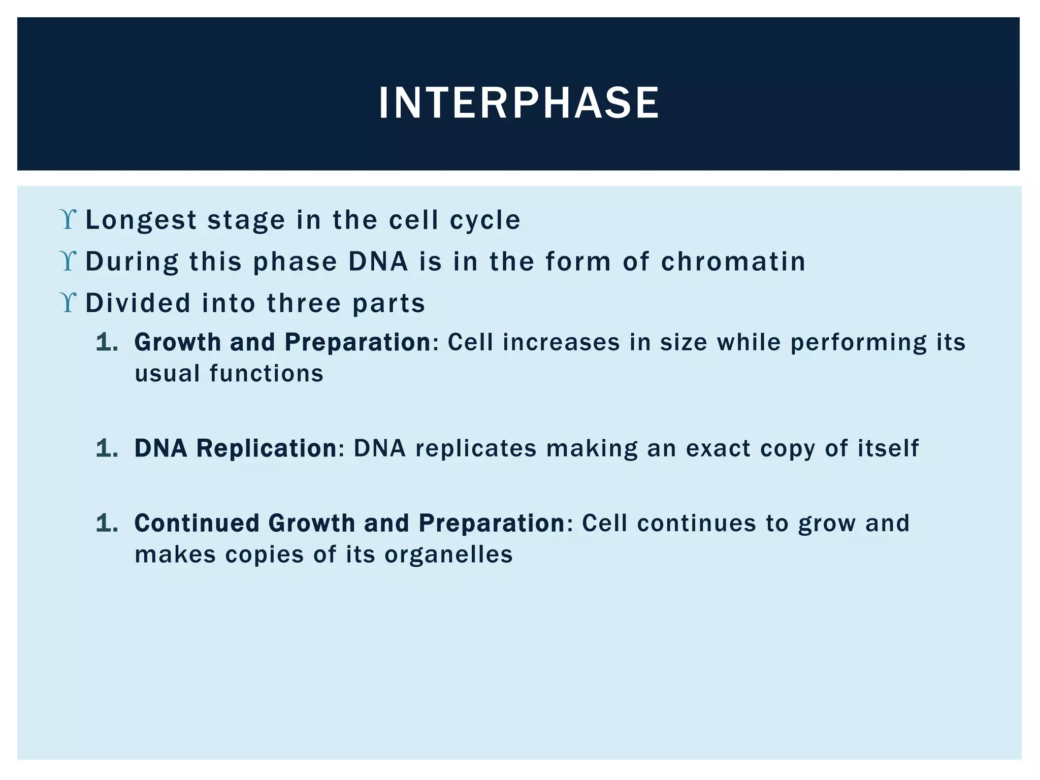 INTERPHASE 
 Longest stage in the cel l cycle 
 During this phase DNA is in the form of chromatin 
 Divided into three par ts 
1. Growth and Preparation: Cell increases in size while performing its 
usual functions 
1. DNA Replication: DNA replicates making an exact copy of itself 
1. Continued Growth and Preparation: Cell continues to grow and 
makes copies of its organelles 
 