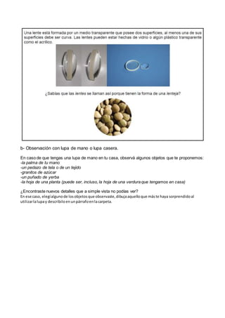 b- Observación con lupa de mano o lupa casera.
En caso de que tengas una lupa de mano en tu casa, observá algunos objetos ...