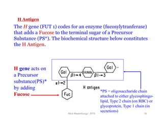ABO Blood Group system | PDF