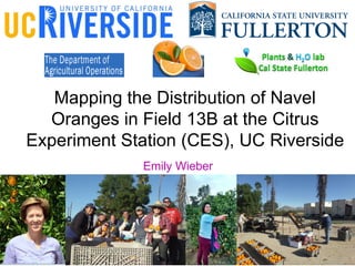 Mapping the Distribution of Navel
Oranges in Field 13B at the Citrus
Experiment Station (CES), UC Riverside
Emily Wieber
 