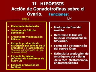 II HIPÓFISIS
Acción de Gonadotrofinas sobre el
Ovario. Funciones:
 Reclutamiento folicular
 Selección de folículo
dominante
 Crecimiento y maduración
folicular
 Estimula producción de
Estrógenos por células de la
granulosa (+) Aromatasas.
(Aumenta la transcripción del gen
de la aromatasa)
 Estimula formación
(número) de Receptores de
FSH y LH
 Estimula producción de
Inhibina
 Maduración final del
ovocito
 Determina la lisis del
folículo: Desencadena la
Ovulación.
 Formación y Mantención
del cuerpo lúteo
 Estimula la producción de
Andrógenos por células
de la teca (testosterona,
androstenediona)
FSH LH
 