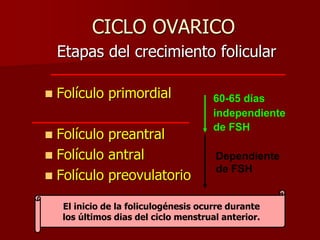 CICLO OVARICO
Etapas del crecimiento folicular
 Folículo primordial
 Folículo preantral
 Folículo antral
 Folículo preovulatorio
60-65 días
independiente
de FSH
Dependiente
de FSH
El inicio de la foliculogénesis ocurre durante
los últimos dias del ciclo menstrual anterior.
 