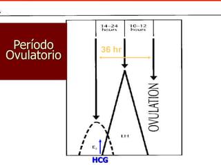 36 hr
HCG
Período
Ovulatorio
Regulación del periodo menstrual
 