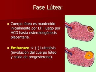 Fase Lútea:
 Cuerpo lúteo es mantenido
inicialmente por LH, luego por
HCG hasta esteroidogénesis
placentaria.
 Embarazo  (-) Luteolisis
(involución del cuerpo lúteo
y caída de progesterona).
 