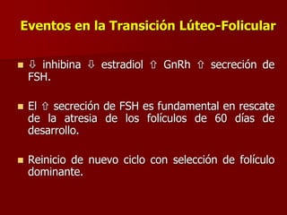 Eventos en la Transición Lúteo-Folicular
  inhibina  estradiol  GnRh  secreción de
FSH.
 El  secreción de FSH es fundamental en rescate
de la atresia de los folículos de 60 días de
desarrollo.
 Reinicio de nuevo ciclo con selección de folículo
dominante.
 