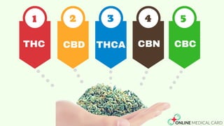1 2 3 4 5
THC CBD THCA CBN CBC
 