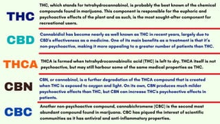 THC
THC, which stands for tetrahydrocannabinol, is probably the best known of the chemical
compounds found in marijuana. This component is responsible for the euphoric and
psychoactive effects of the plant and as such, is the most sought-after component for
recreational users.
CBD Cannabidiol has become nearly as well known as THC in recent years, largely due to
CBD's effectiveness as a medicine. One of its main benefits as a treatment is that it’s
non-psychoactive, making it more appealing to a greater number of patients than THC.
THCA THCA is formed when tetrahydrocannabinolic acid (THC) is left to dry. THCA itself is not
psychoactive, but may still harbour some of the same medical properties as THC.
CBN
CBN, or cannabinol, is a further degradation of the THCA compound that is created
when THC is exposed to oxygen and light. On its own, CBN produces much milder
psychoactive effects than THC, but CBN can increase THC's psychoactive effects in
patients.
CBC Another non-psychoactive compound, cannabichromene (CBC) is the second most
abundant compound found in marijuana. CBC has piqued the interest of scientific
communities as it has antiviral and anti-inflammatory properties.
 