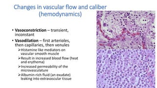 Acute Inflammation and inflammation types | PDF