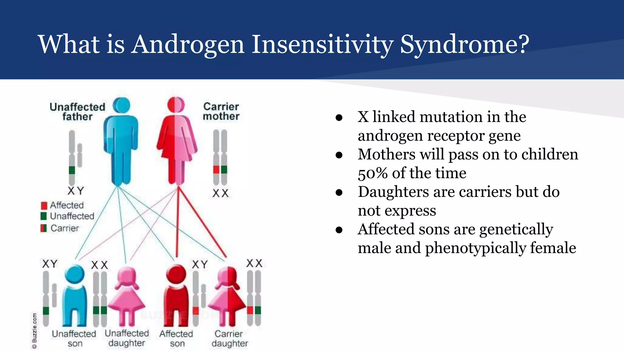 Androgen Insensitivity Syndrome Periods