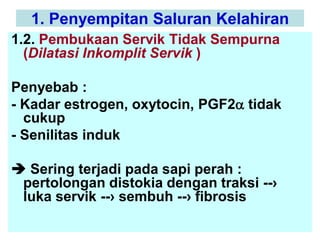 Distokia Sapi Distokia Materna in cattle dalam bahasa idn | PDF