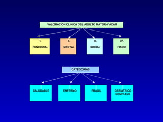 VALORACIÓN CLINICA DEL ADULTO MAYOR-VACAM




    I.               II.                  III.        IV.

FUNCIONAL         MENTAL                SOCIAL       FISICO




                           CATEGORÍAS




SALUDABLE         ENFERMO               FRAGIL   GERIÁTRICO
                                                 COMPLEJO
 