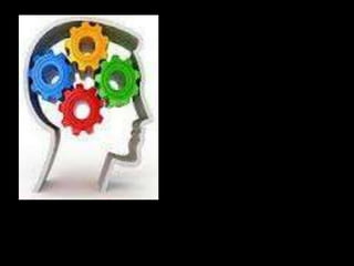 TrueColors-AFPJune2015Ver6