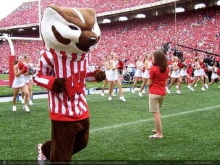 Photo by stephcaine - Creative Commons Attribution License https://www.flickr.com/photos/21434900@N08 Created with Haiku Deck
 