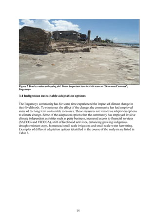 14
Figure 7 Beach erosion collapsing old Boma important tourist visit areas at “Kastamu/Customs”,
Bagamoyo
3.4 Indigenous sustainable adaptation options
.
The Bagamoyo community has for some time experienced the impact of climate change in
their livelihoods. To counteract the effect of the change, the community has had employed
some of the long term sustainable measures. These measures are termed as adaptation options
to climate change. Some of the adaptation options that the community has employed involve
climate independent activities such as petty business, increased access to financial services
(SACCOs and VICOBA), shift of livelihood activities, enhancing growing indigenous
drought resistant crops, homestead small scale irrigation, and small scale water harvesting.
Examples of different adaptation options identified in the course of the analysis are listed in
Table 3.
 