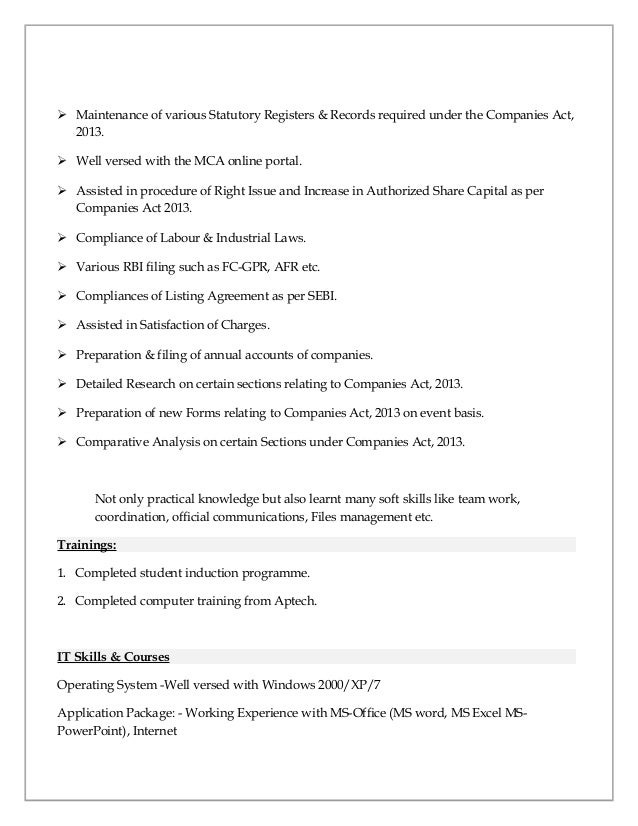 professional business resume templates