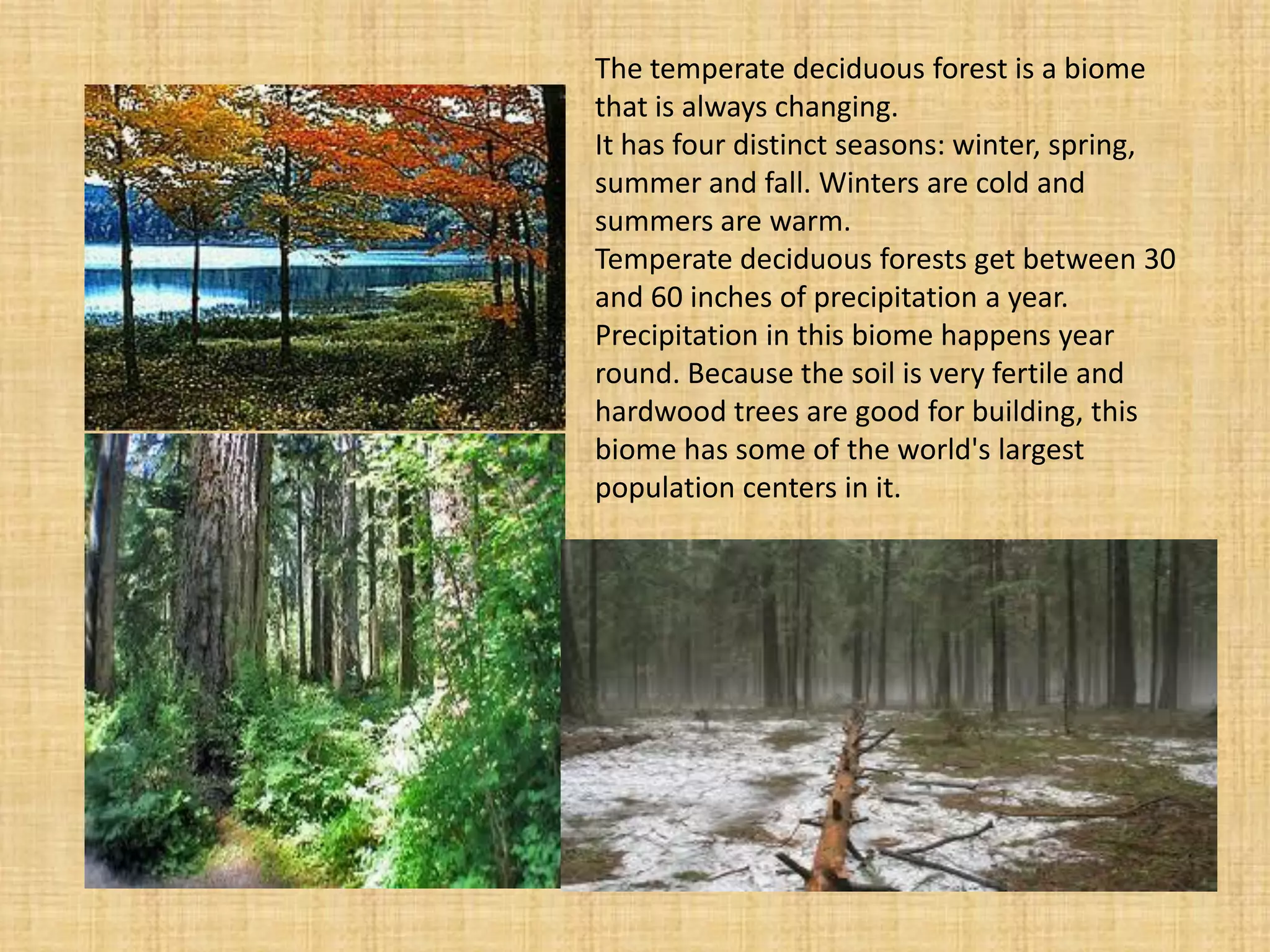 The temperate deciduous forest is a biome that is always changing. 
It has four distinct seasons: winter, spring, summer and fall. Winters are cold and summers are warm. 
Temperate deciduous forests get between 30 and 60 inches of precipitation a year. Precipitation in this biome happens year round. Because the soil is very fertile and hardwood trees are good for building, this biome has some of the world's largest population centers in it.  