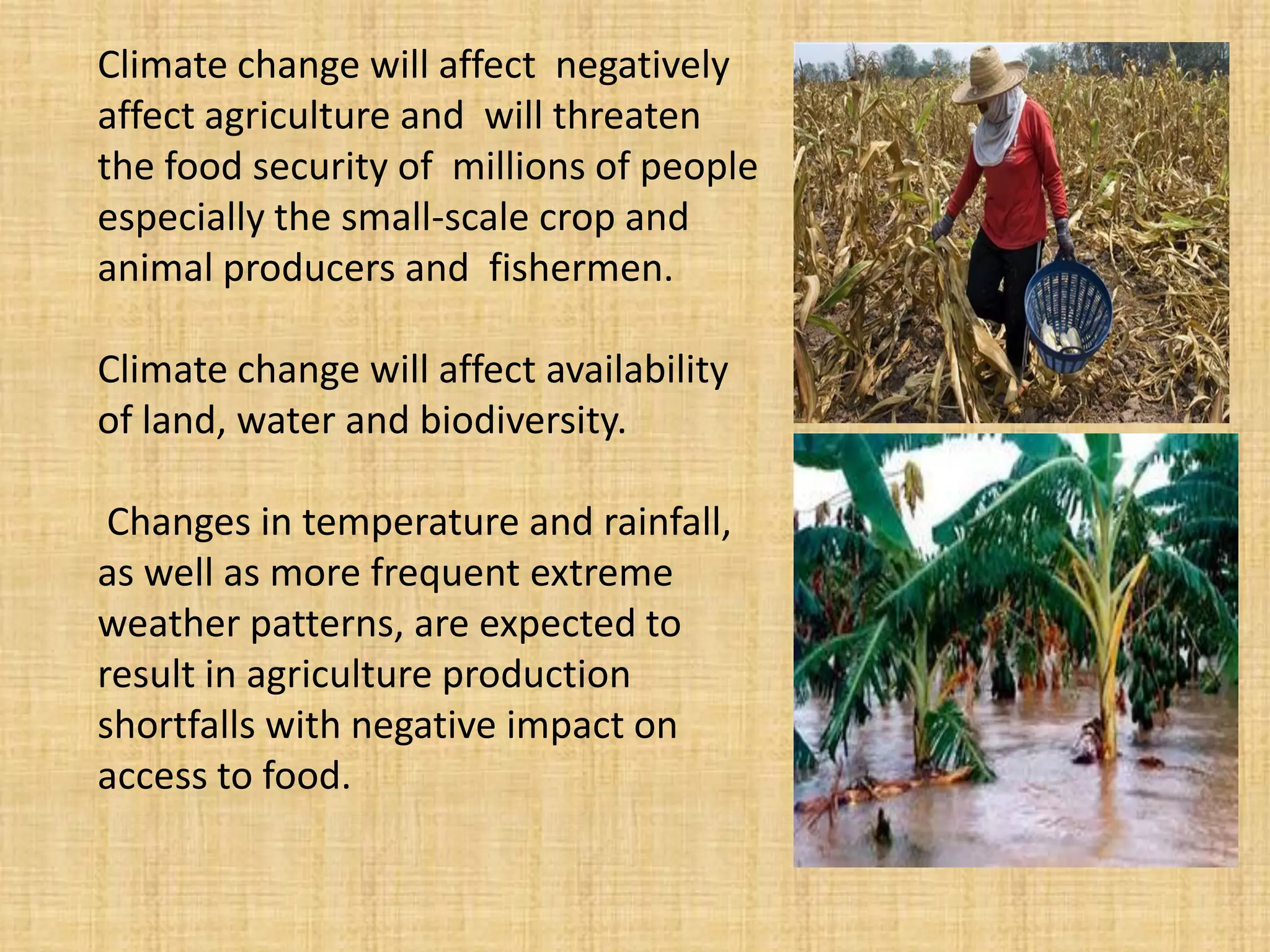 Climate change will affect negatively affect agriculture and will threaten the food security of millions of people especially the small-scale crop and animal producers and fishermen. 
Climate change will affect availability of land, water and biodiversity. 
Changes in temperature and rainfall, as well as more frequent extreme weather patterns, are expected to result in agriculture production shortfalls with negative impact on access to food.  