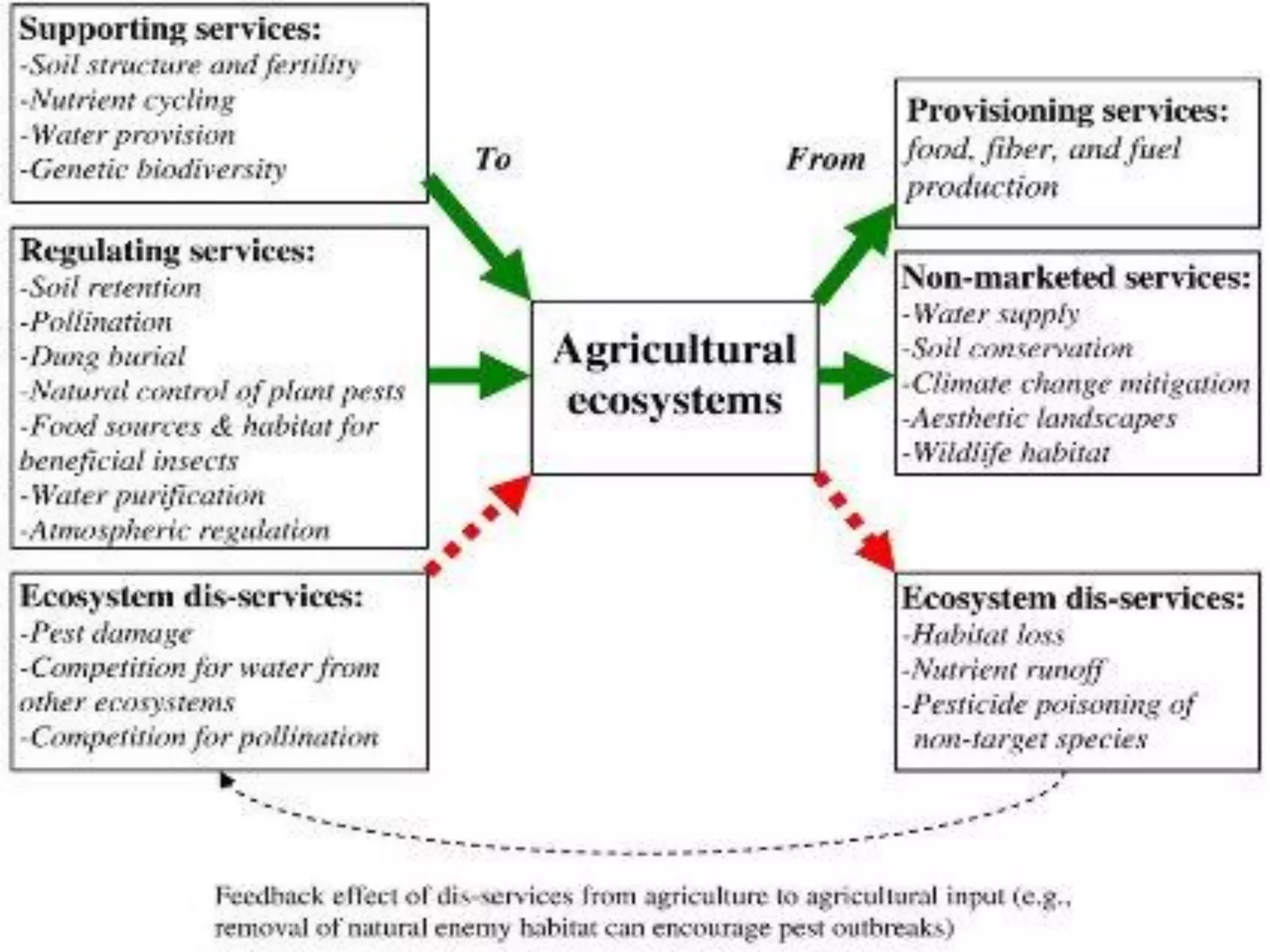 Agriculture and Ecosystem