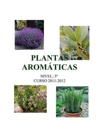 PLANTAS
AROMÁTICAS
    NIVEL: 5º
  CURSO 2011-2012
 