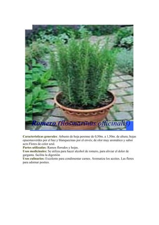 Romero (Rosmarinus officinalis)
Características generales: Arbusto de hoja perenne de 0,50m. a 1,50m. de altura; hojas
opuestasverdes por el haz y blanquecinas por el envés; de olor muy aromático y sabor
acre.Flores de color azul.
Partes utilizadas: Ramos florodos y hojas.
Usos medicinales: Se utiliza para hacer alcohol de romero, para aliviar el dolor de
garganta. facilita la digestión
Usos culinarios: Excelente para condimentar carnes. Aromatiza los aceites. Las flores
para adornar postres.
 