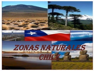 ZONAS NATURALES
CHILE
 