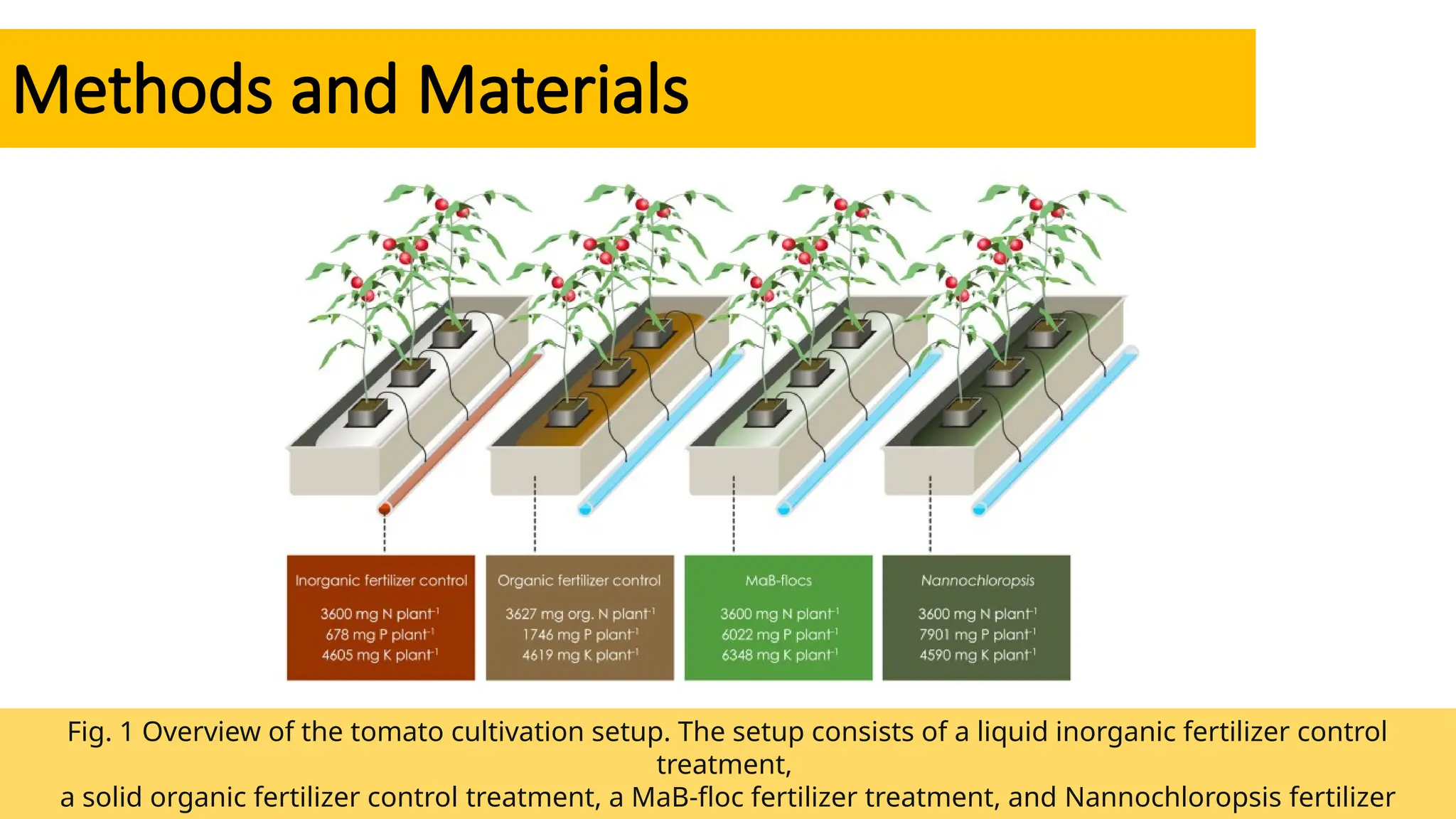 Jurnal Nutrisi Tanah Dan Tanaman Organik Pptx
