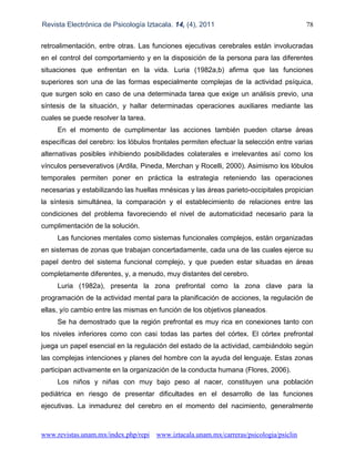 Revista Electrónica de Psicología Iztacala. 14, (4), 2011 78
www.revistas.unam.mx/index.php/repi www.iztacala.unam.mx/carreras/psicologia/psiclin
retroalimentación, entre otras. Las funciones ejecutivas cerebrales están involucradas
en el control del comportamiento y en la disposición de la persona para las diferentes
situaciones que enfrentan en la vida. Luria (1982a,b) afirma que las funciones
superiores son una de las formas especialmente complejas de la actividad psíquica,
que surgen solo en caso de una determinada tarea que exige un análisis previo, una
síntesis de la situación, y hallar determinadas operaciones auxiliares mediante las
cuales se puede resolver la tarea.
En el momento de cumplimentar las acciones también pueden citarse áreas
específicas del cerebro: los lóbulos frontales permiten efectuar la selección entre varias
alternativas posibles inhibiendo posibilidades colaterales e irrelevantes así como los
vínculos perseverativos (Ardila, Pineda, Merchan y Rocelli, 2000). Asimismo los lóbulos
temporales permiten poner en práctica la estrategia reteniendo las operaciones
necesarias y estabilizando las huellas mnésicas y las áreas parieto-occipitales propician
la síntesis simultánea, la comparación y el establecimiento de relaciones entre las
condiciones del problema favoreciendo el nivel de automaticidad necesario para la
cumplimentación de la solución.
Las funciones mentales como sistemas funcionales complejos, están organizadas
en sistemas de zonas que trabajan concertadamente, cada una de las cuales ejerce su
papel dentro del sistema funcional complejo, y que pueden estar situadas en áreas
completamente diferentes, y, a menudo, muy distantes del cerebro.
Luria (1982a), presenta la zona prefrontal como la zona clave para la
programación de la actividad mental para la planificación de acciones, la regulación de
ellas, y/o cambio entre las mismas en función de los objetivos planeados.
Se ha demostrado que la región prefrontal es muy rica en conexiones tanto con
los niveles inferiores como con casi todas las partes del córtex. El córtex prefrontal
juega un papel esencial en la regulación del estado de la actividad, cambiándolo según
las complejas intenciones y planes del hombre con la ayuda del lenguaje. Estas zonas
participan activamente en la organización de la conducta humana (Flores, 2006).
Los niños y niñas con muy bajo peso al nacer, constituyen una población
pediátrica en riesgo de presentar dificultades en el desarrollo de las funciones
ejecutivas. La inmadurez del cerebro en el momento del nacimiento, generalmente
 