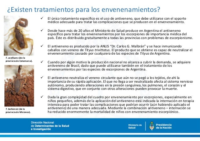 alacranismo tratamiento