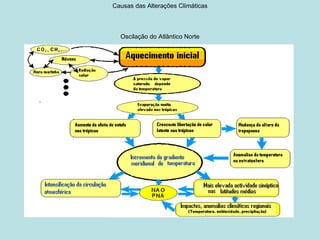Causas das Alterações Climáticas



  Oscilação do Atlântico Norte
 