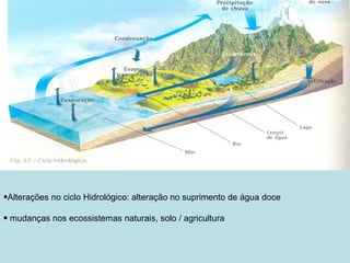 •Alterações no ciclo Hidrológico: alteração no suprimento de água doce

• mudanças nos ecossistemas naturais, solo / agricultura
 