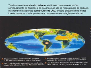 Tendo em conta o ciclo do carbono, verifica-se que as áreas verdes,
nomeadamente as florestas e os oceanos não são só reservatórios de carbono,
mas também excelentes sumidouros de CO2, embora existam ainda muitas
incertezas sobre o balanço dos seus mecanismos em relação ao carbono.
 