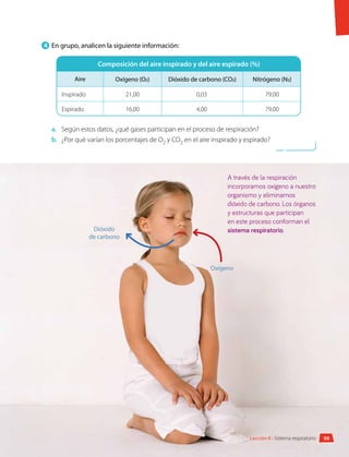 A través de la respiración
incorporamos oxígeno a nuestro
organismo y eliminamos
dióxido de carbono. Los órganos
y estructuras que participan
en este proceso conforman el
sistema respiratorio.
4 	En grupo, analicen la siguiente información:
Composición del aire inspirado y del aire espirado (%)
Aire Oxígeno (O2) Dióxido de carbono (CO2) Nitrógeno (N2)
Inspirado 21,00 0,03 79,00
Espirado 16,00 4,00 79,00
a.	 Según estos datos, ¿qué gases participan en el proceso de respiración?
b.	 ¿Por qué varían los porcentajes de O2 y CO2 en el aire inspirado y espirado?
Oxígeno
Dióxido
de carbono
99
Lección 8 • Sistema respiratorio
 