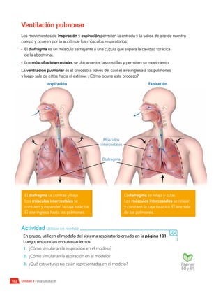 Músculos
intercostales
Inspiración Espiración
Diafragma
Ventilación pulmonar
Los movimientos de inspiración y espiración permiten la entrada y la salida de aire de nuestro
cuerpo y ocurren por la acción de los músculos respiratorios:
•	 El diafragma es un músculo semejante a una cúpula que separa la cavidad torácica
de la abdominal.
•	 Los músculos intercostales se ubican entre las costillas y permiten su movimiento.
La ventilación pulmonar es el proceso a través del cual el aire ingresa a los pulmones
y luego sale de estos hacia el exterior. ¿Cómo ocurre este proceso?
El diafragma se contrae y baja.
Los músculos intercostales se
contraen y expanden la caja torácica.
El aire ingresa hacia los pulmones.
El diafragma se relaja y sube.
Los músculos intercostales se relajan
y contraen la caja torácica. El aire sale
de los pulmones.
En grupo, utilicen el modelo del sistema respiratorio creado en la página 101.
Luego, respondan en sus cuadernos:
1.	 ¿Cómo simularían la inspiración en el modelo?
2.	 ¿Cómo simularían la espiración en el modelo?
3.	 ¿Qué estructuras no están representadas en el modelo?
Actividad Utilizar un modelo
Páginas
50 y 51
Unidad 3 • Vida saludable
102
 